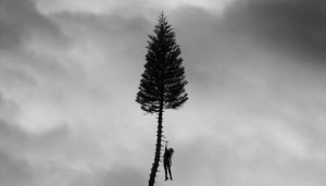 Win album A Black Mile To The Surface van Manchester Orchestra