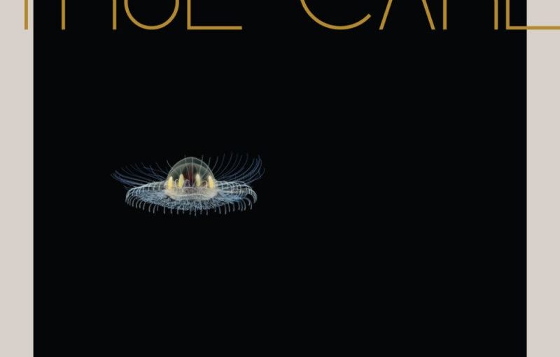 Album van de Dag: James Vincent McMorrow – True Care