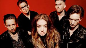 Marmozets – Habits