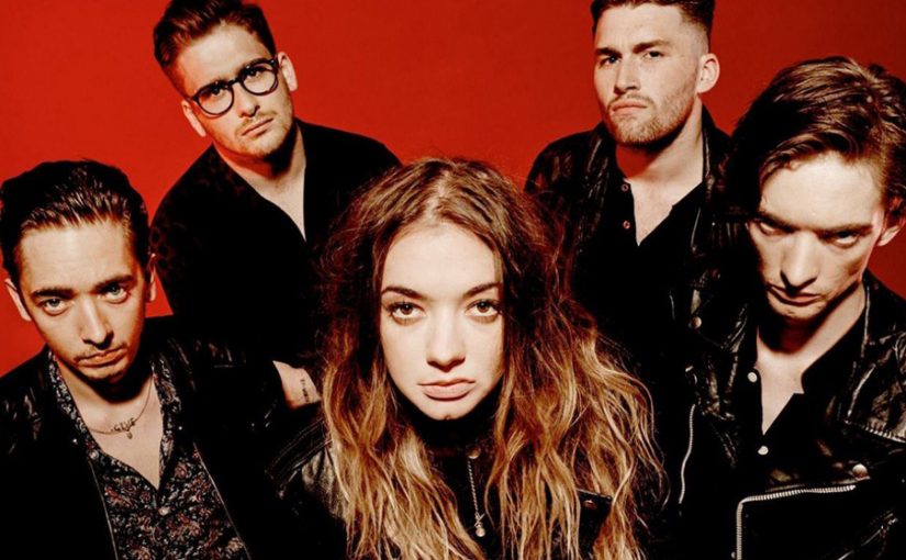 Marmozets