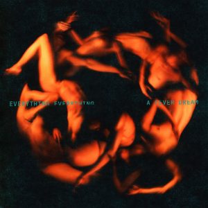 Album van de Dag: Everything Everything – A Fever Dream
