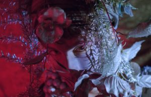 Doldrums in oktober naar Sugarfactory en Simplon