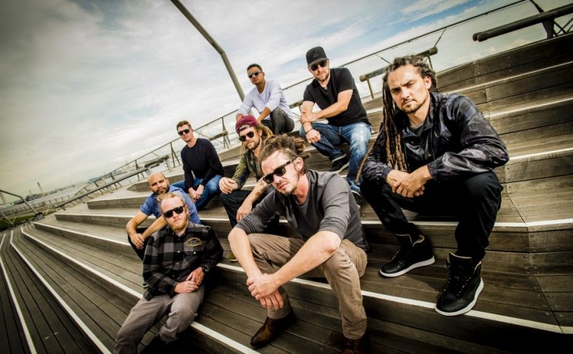 SOJA (Soldiers Of Jah Army) hunkert naar schoonheid