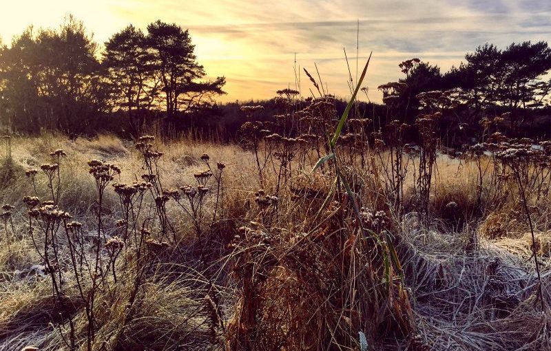 Ane Brun