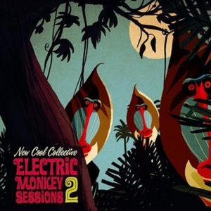 New Cool Collective – Electric Monkey Sessions 2