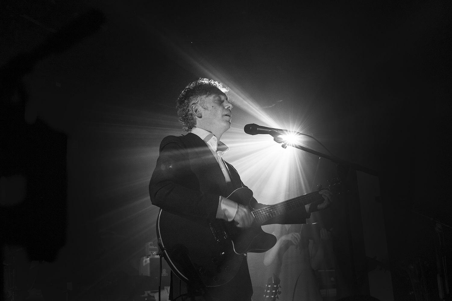 Spinvis op 16 augustus in het Zuiderpark te Den Haag