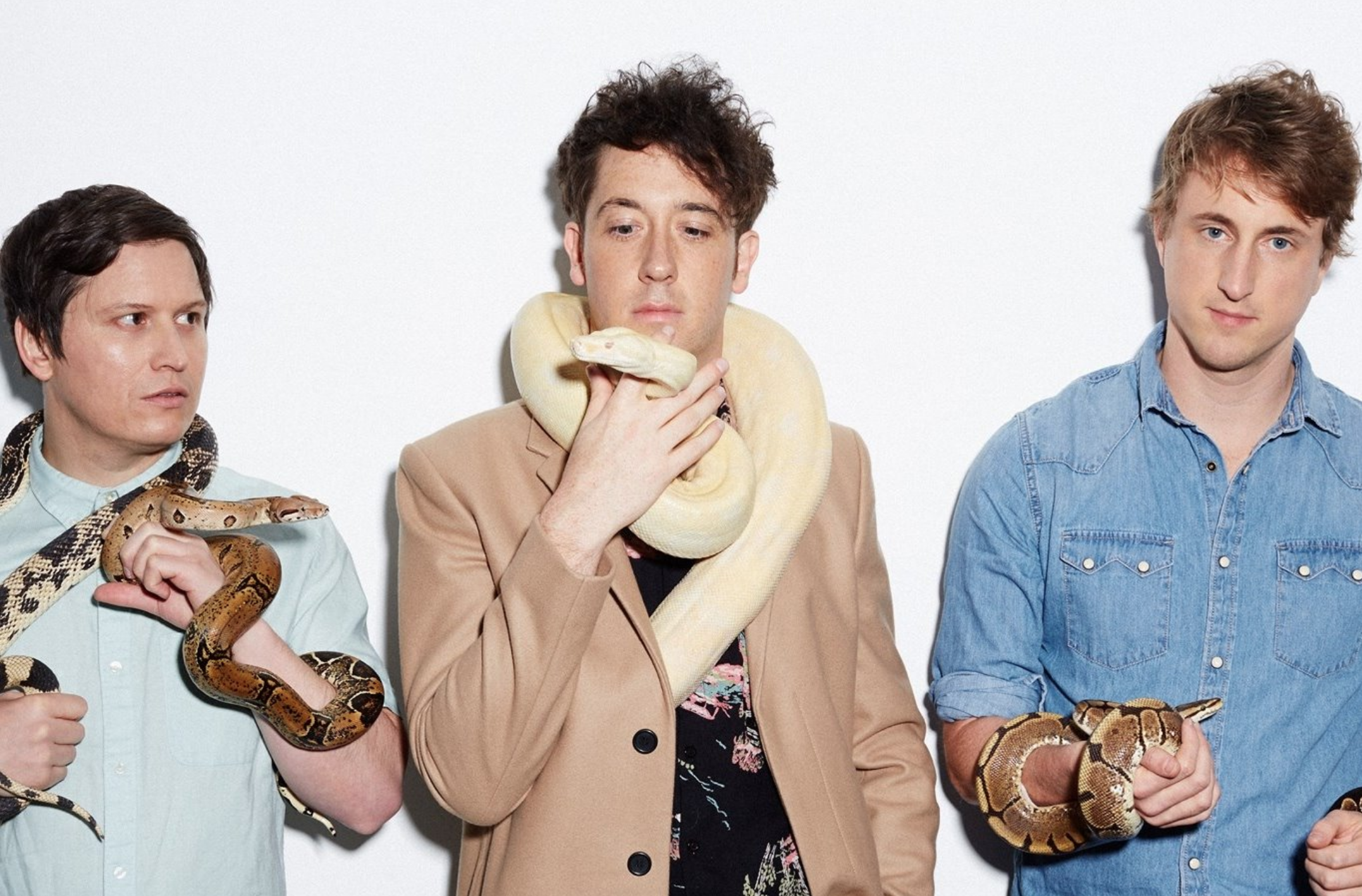 The Wombats – Cheetah Tongue