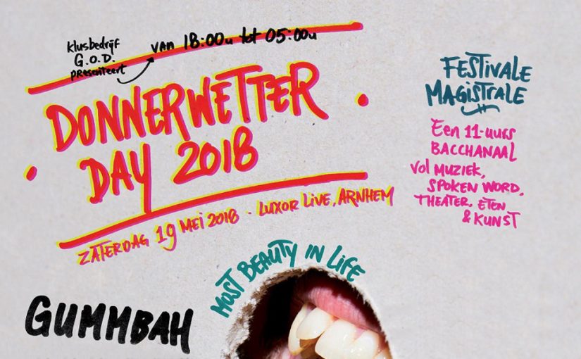 Arnhemse kunstfestival Donnerwetter Day 2018 groter dan ooit