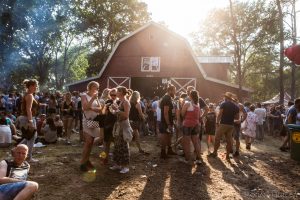#338 Johan Grooters – Backstagemanager van Dauwpop