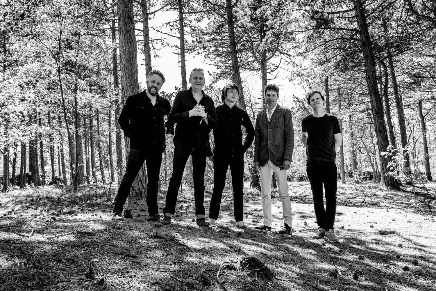 JOHAN o.a. naar Paard, Metropool, Victorie en Patronaat