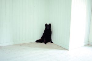 Get Well Soon – The Horror (Caroline)