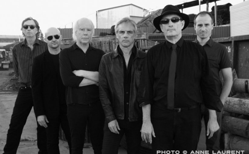 Australische undergroundband Radio Birdman o.a. naar Patronaat en Paard