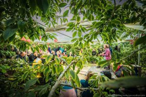 Eerste namen voor Festival The Brave 2019 in Amsterdam