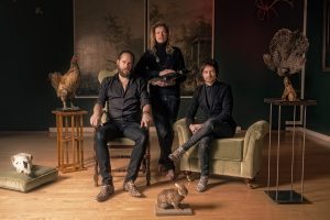 Nieuwe single en videoclip Rotterdams trio Certain Animals