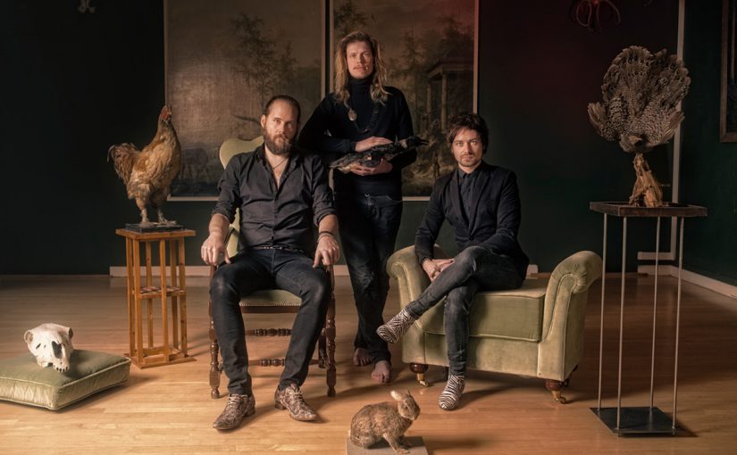 Nieuwe single en videoclip Rotterdams trio Certain Animals