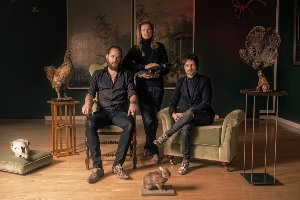 Nieuwe single en videoclip Rotterdams trio Certain Animals
