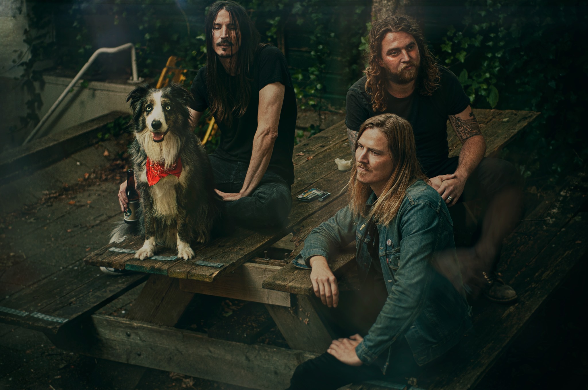 Splinter – Take No More