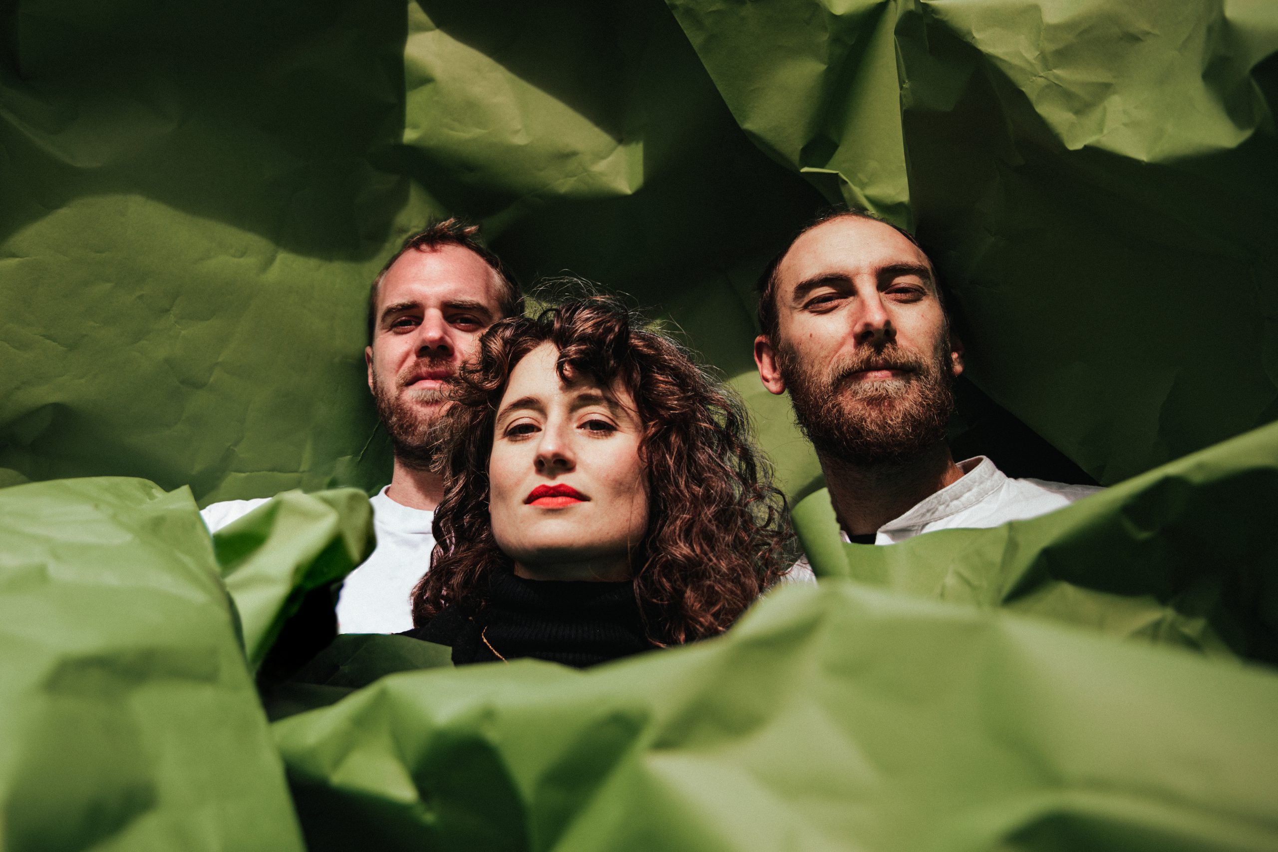 Elder Island komt met nieuwe single PURELY EDUCATIONAL en kondigt tweede album SWIMMING STATIC aan