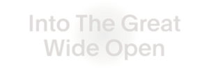 Into The Great Wide Open gaat toch door: kunst- en muziekfestival op Vlieland vindt in een eenmalige aangepaste vorm plaats