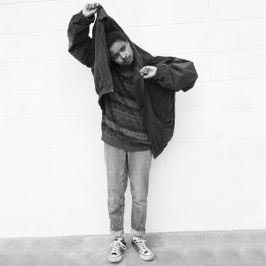 Meskerem Mees – The Writer