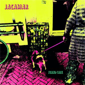 Indie-rock band Jacamar spreads it’s wings