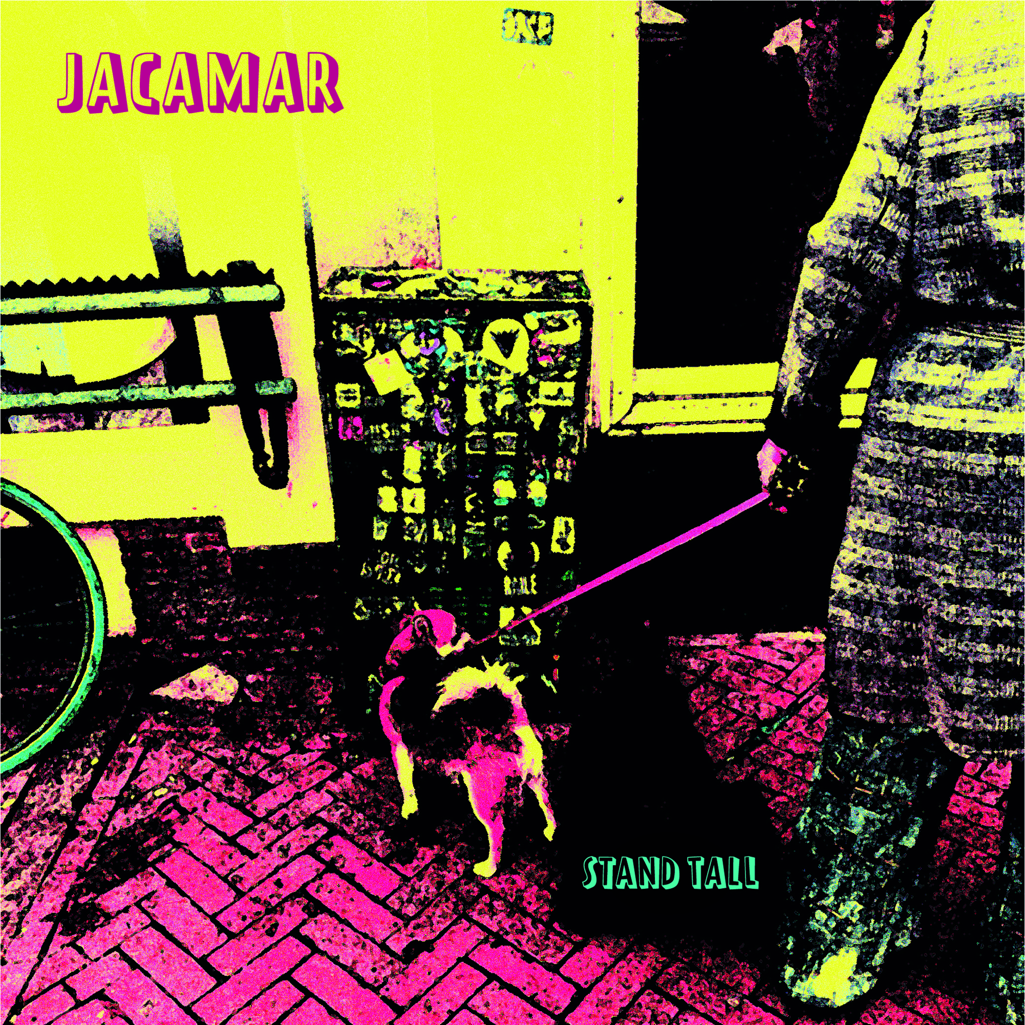 Indie-rock band Jacamar spreads it’s wings