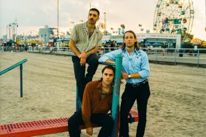 BAMBARA – Birds
