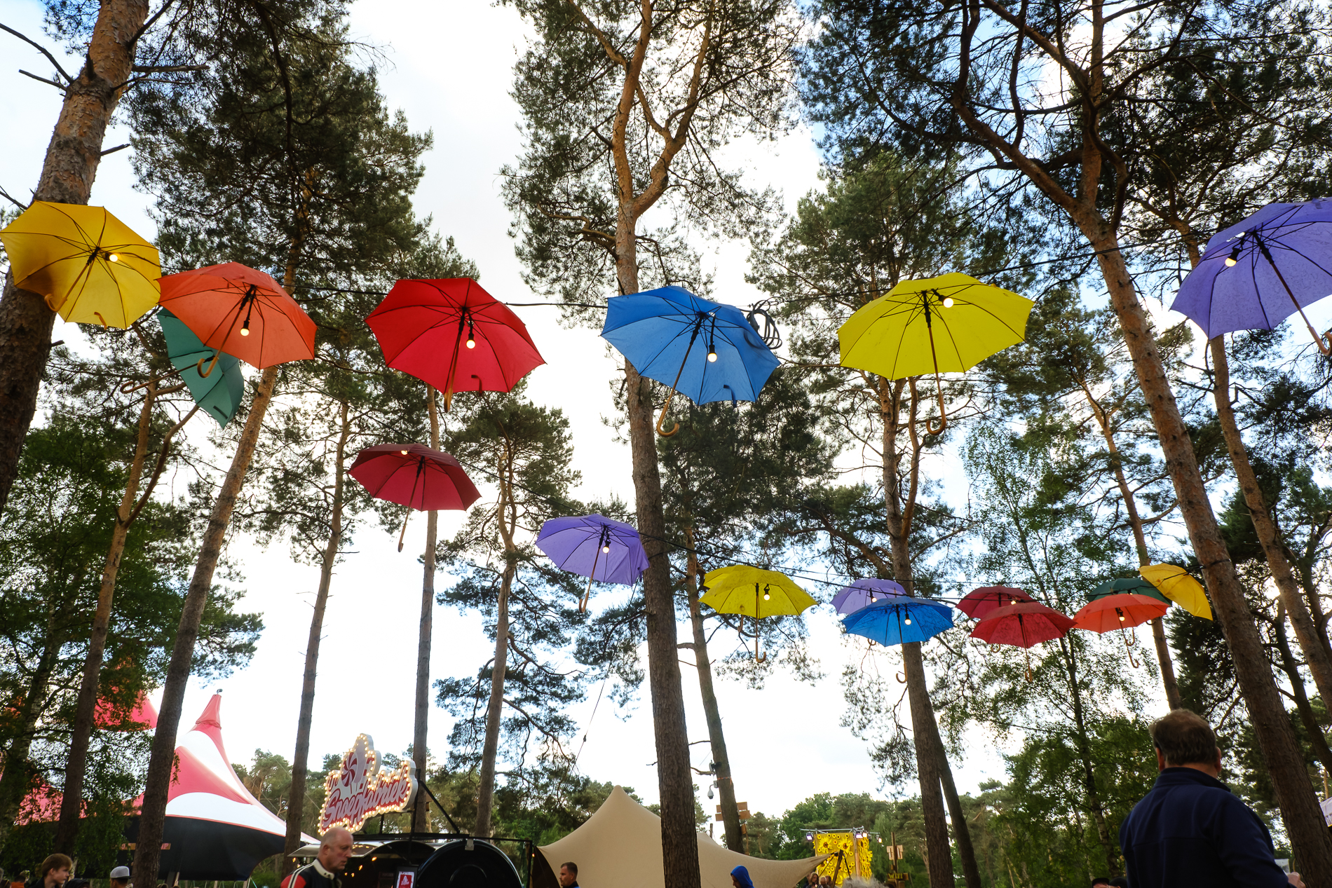 JOHN COFFEY, Jungle By Night, Cloud Nothings naar Dauwpop