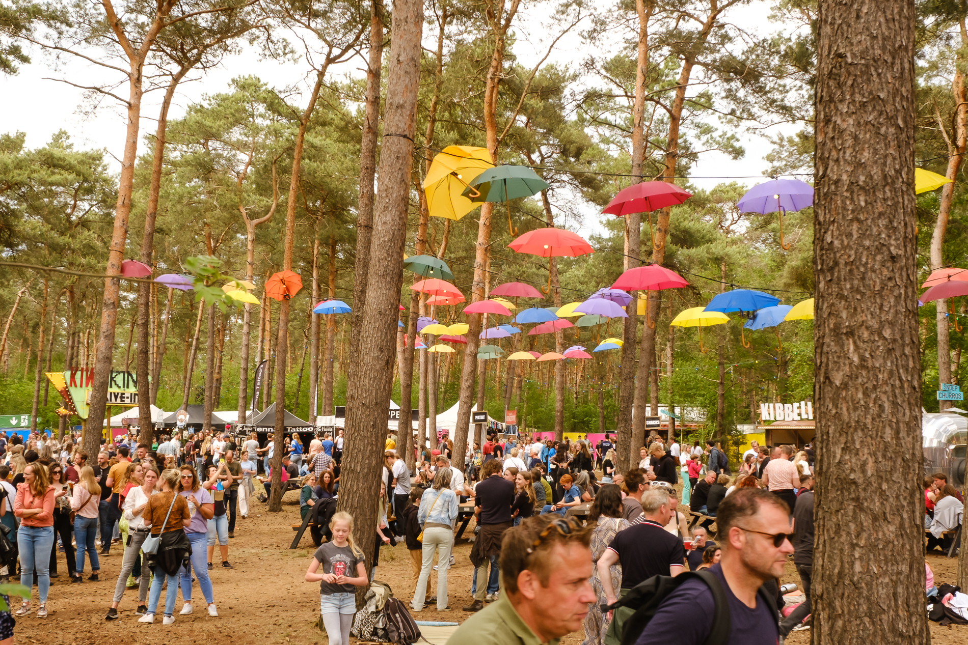 18 nieuwe namen Dauwpop Festival