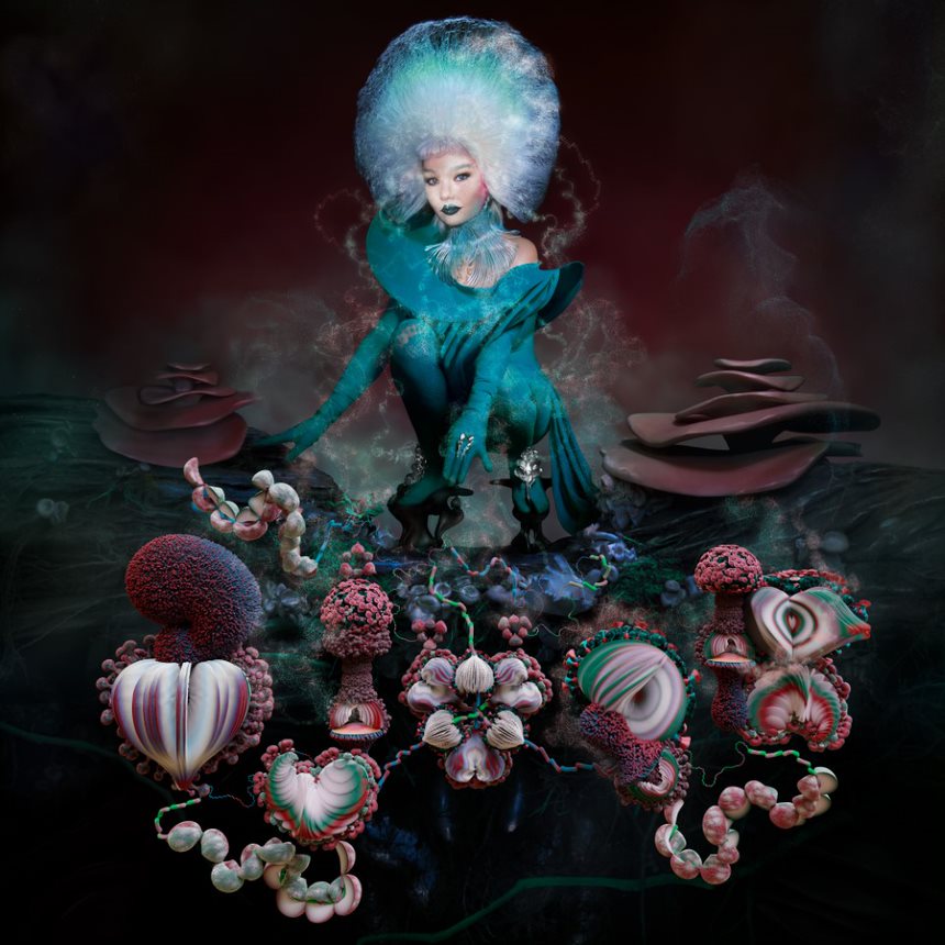 björk – ovule