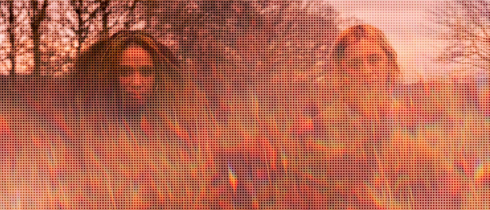 Jadu Heart – I Shimmer