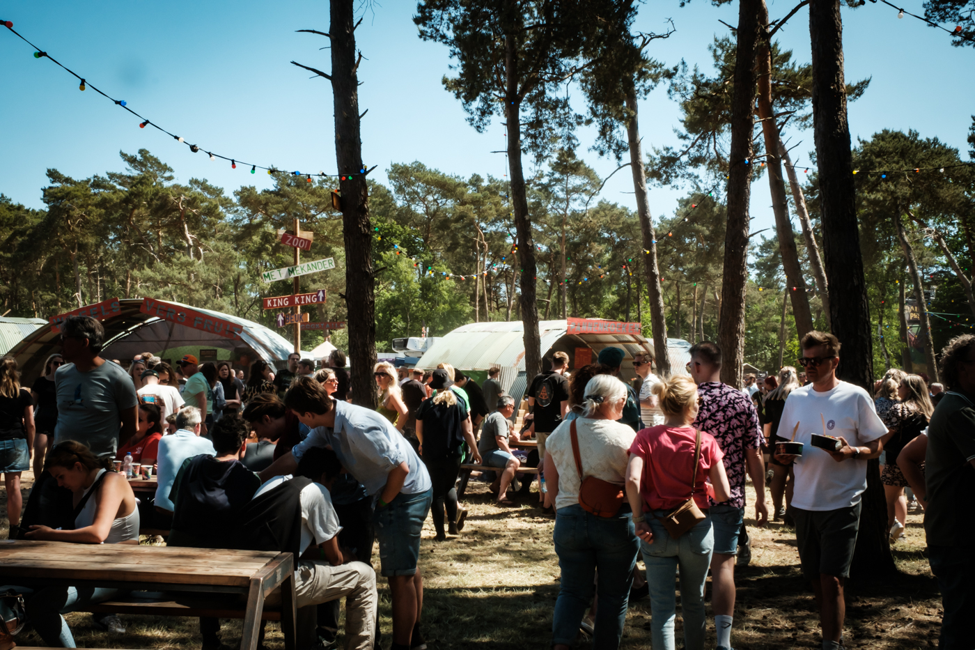 25 nieuwe namen voor Dauwpop