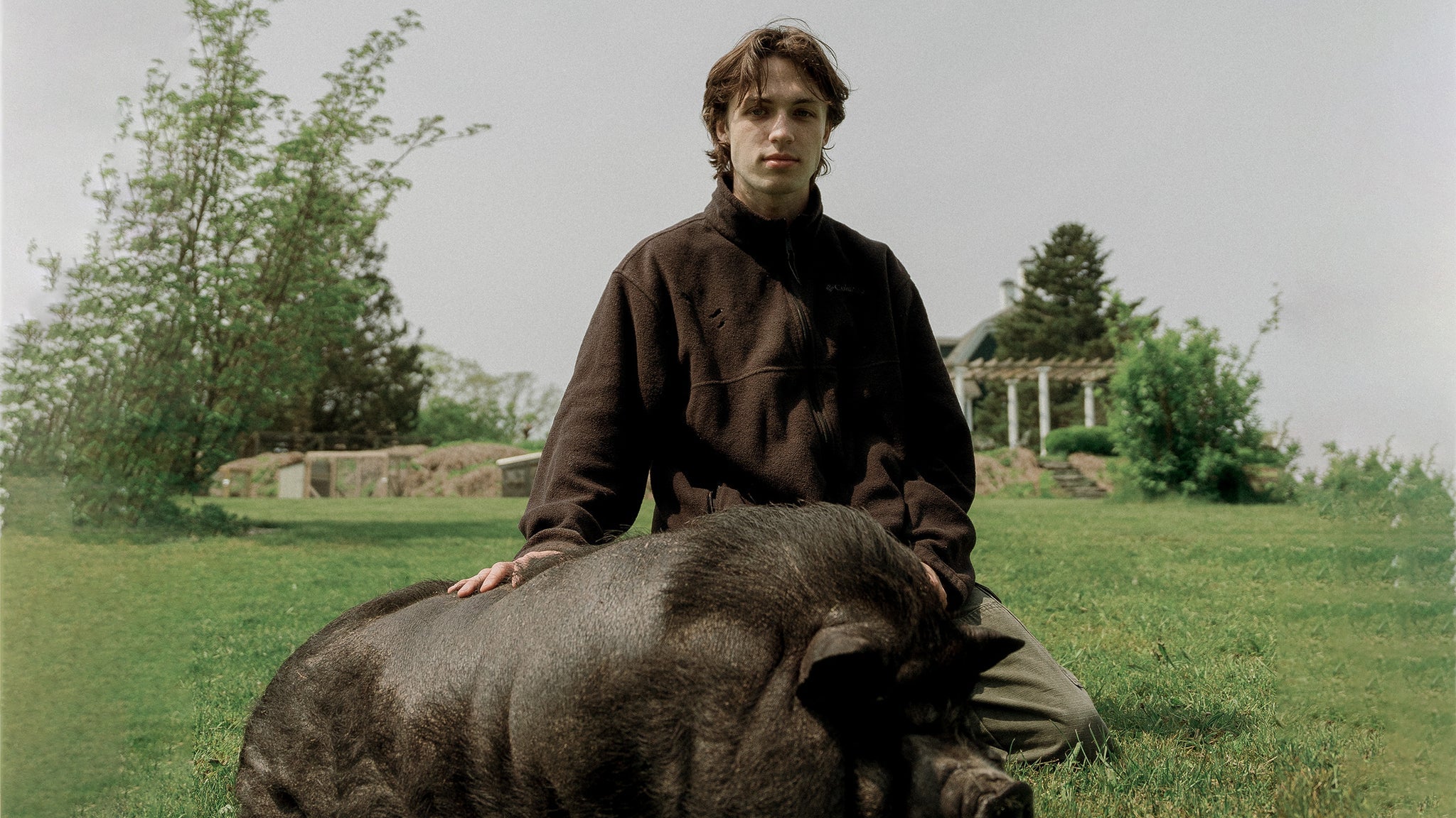 Peter McPoland – Dog