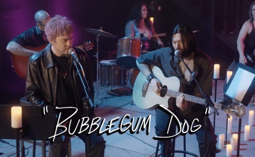 MGMT – Bubblegum Dog