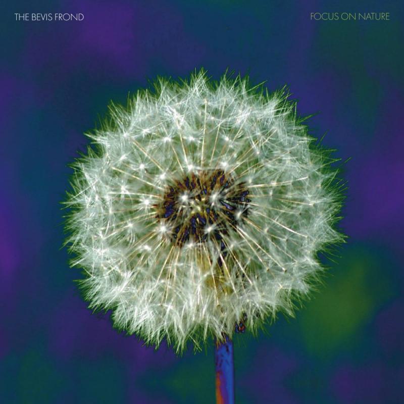 The Bevis Frond – Focus On Nature