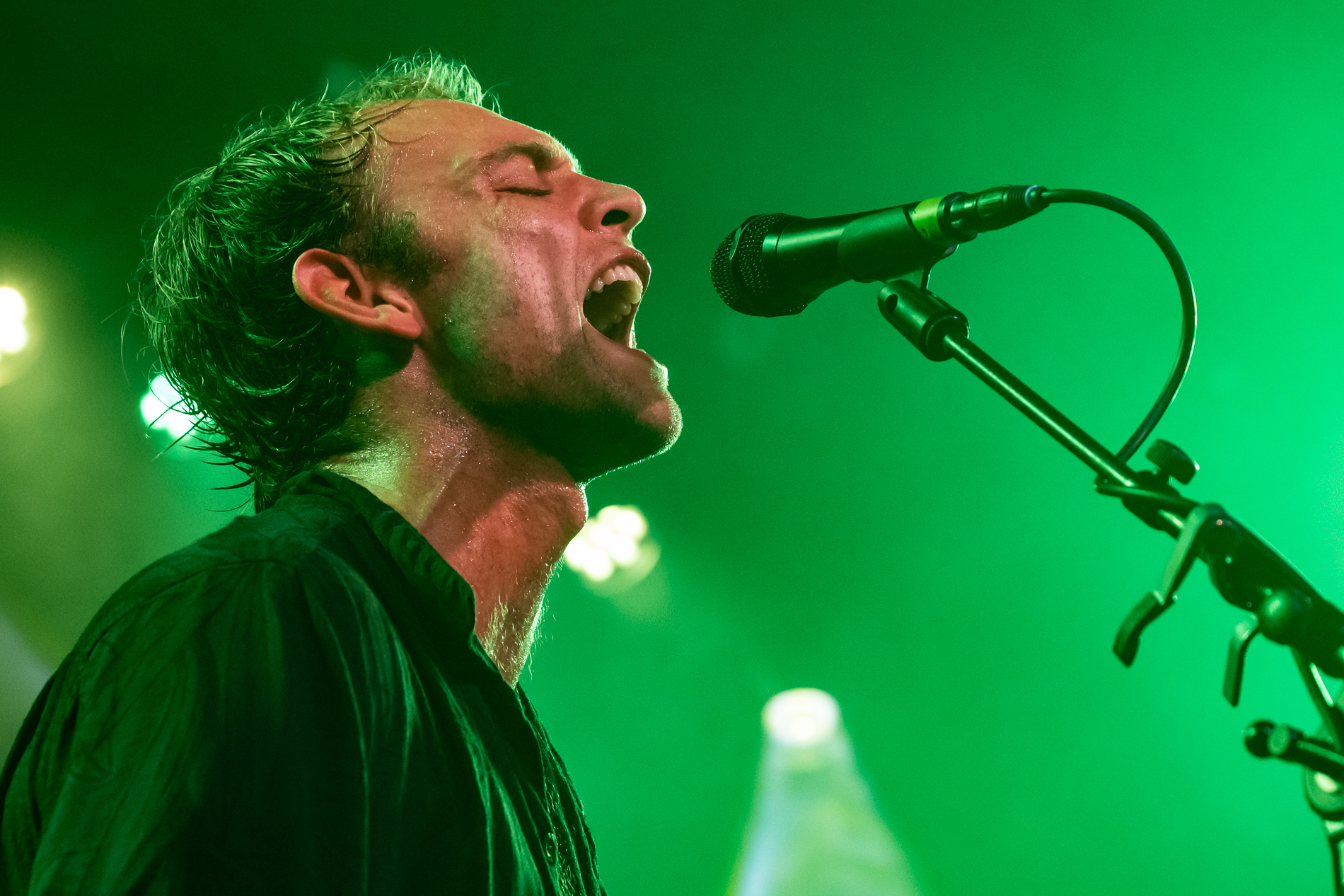 Nieuwe singles week 24 Indie, On The Rocks, Pop en Pluche