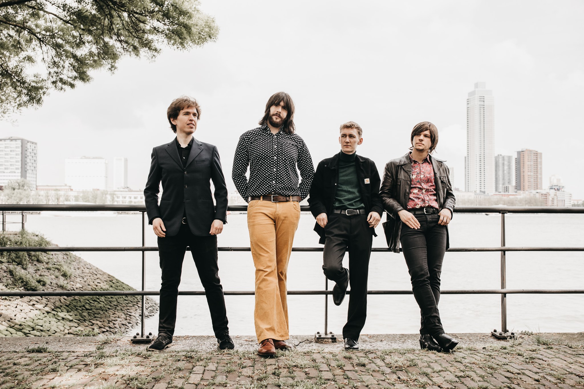 The Tommyrots – Fever Dream