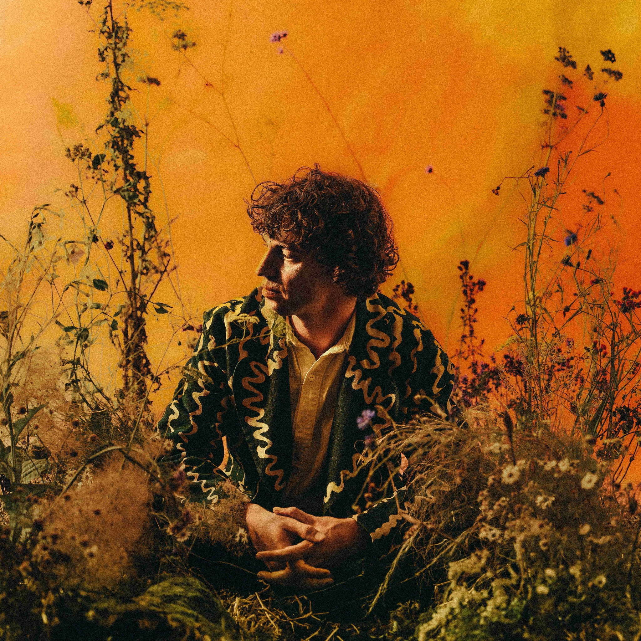 Cosmo Sheldrake – Song of the Cedars (feat. Los Cedros Cloud Forest)
