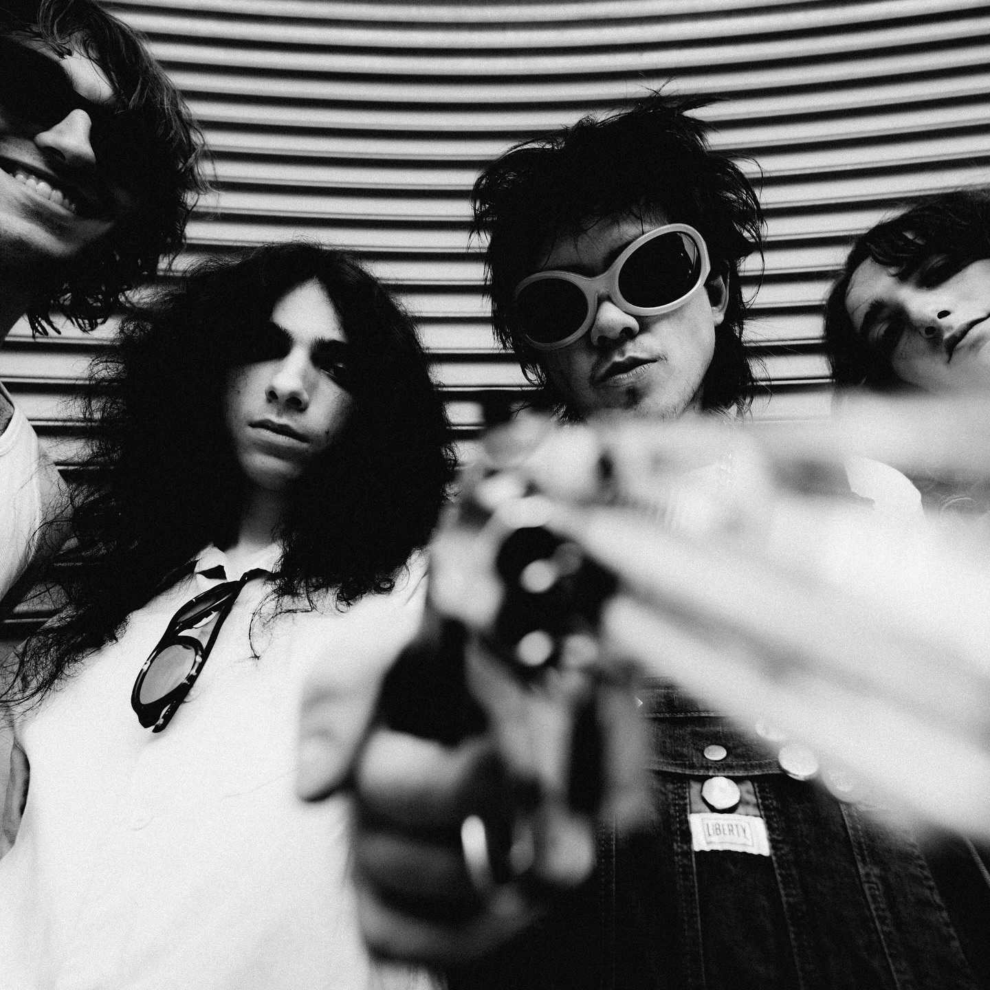 Geese – Cobra
