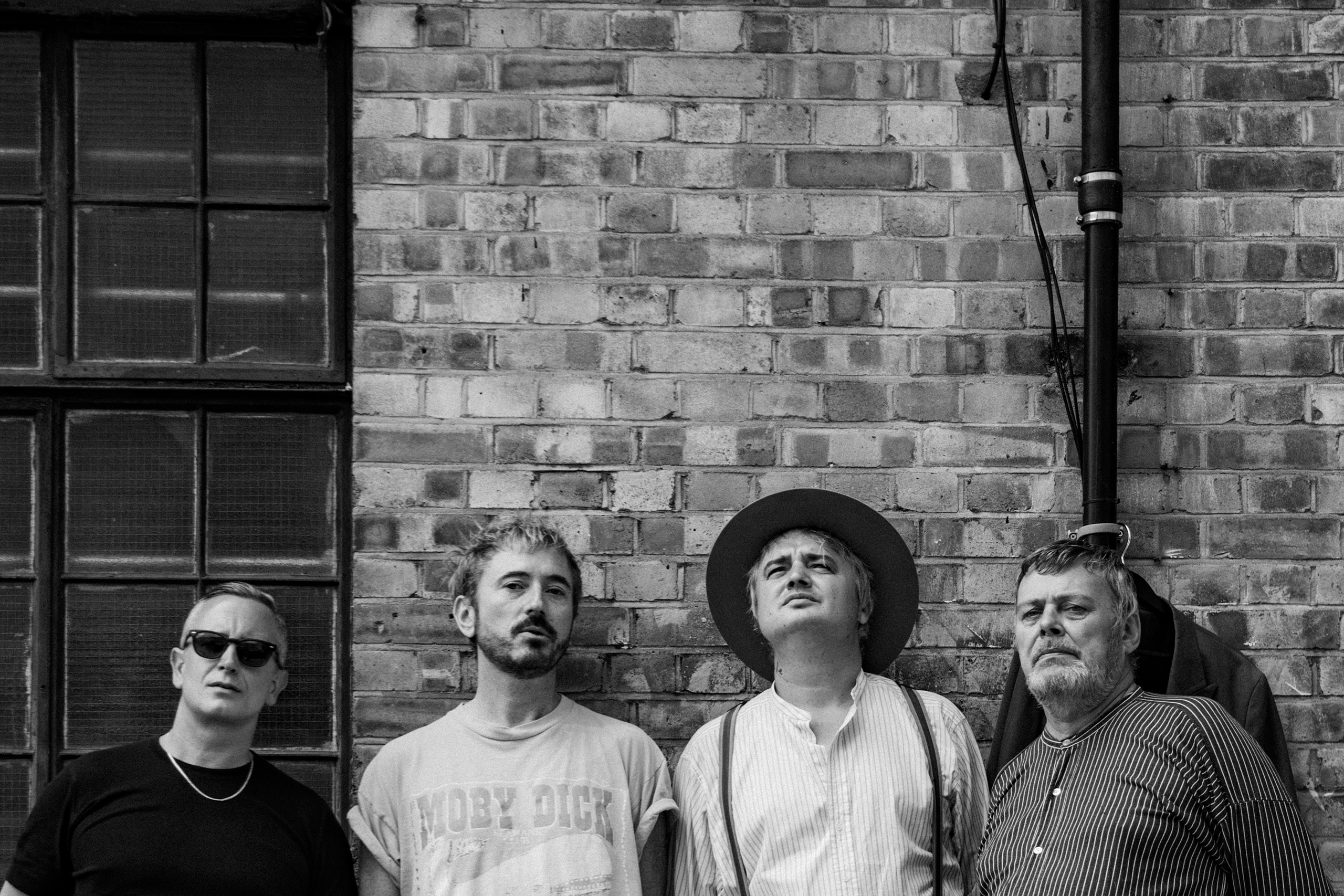 Babyshambles – Dandy Hooligan