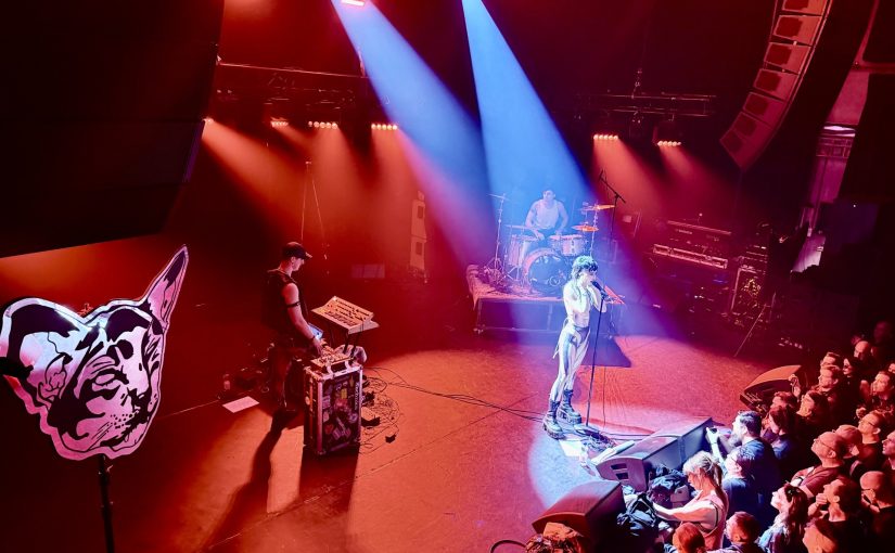 Grauzone 2026 divers, intens en experimenteel