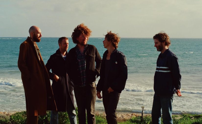 Pond – Terrestrials