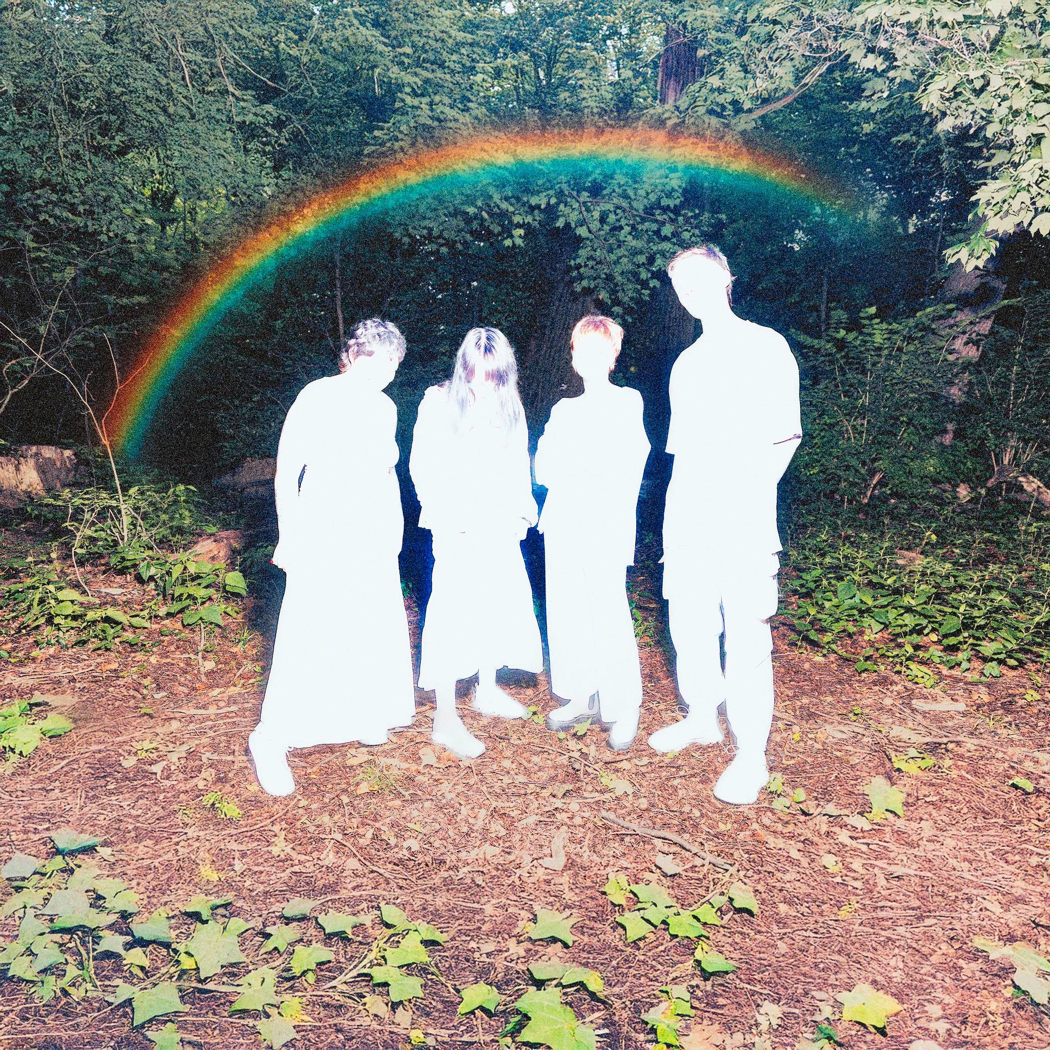 Snarls – No Lock, No Prayer