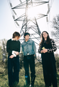thistle. – pieces