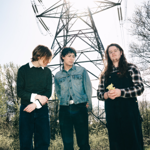 thistle. – pieces