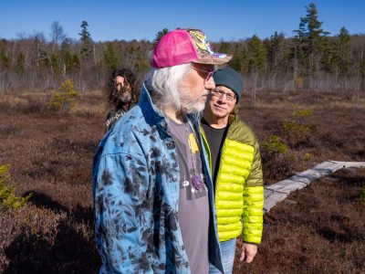 Dinosaur Jr. – Several Got Away
