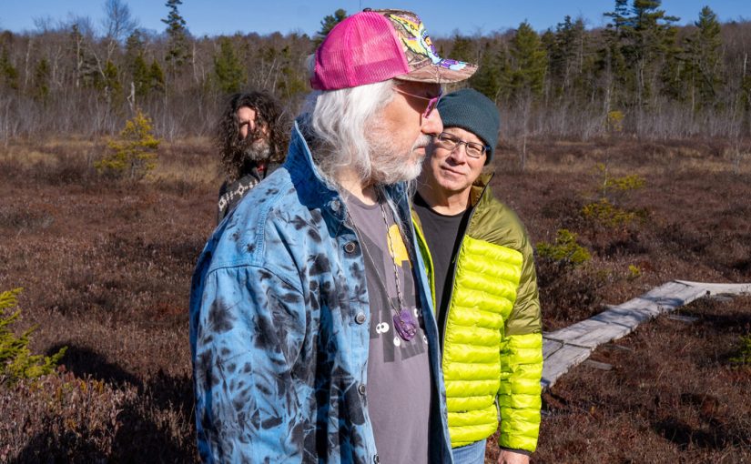 Dinosaur Jr – Several Got Away