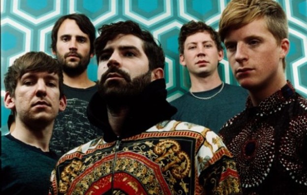 Foals