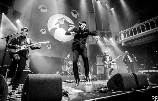 Foto’s Pinguins in Paradiso 2016