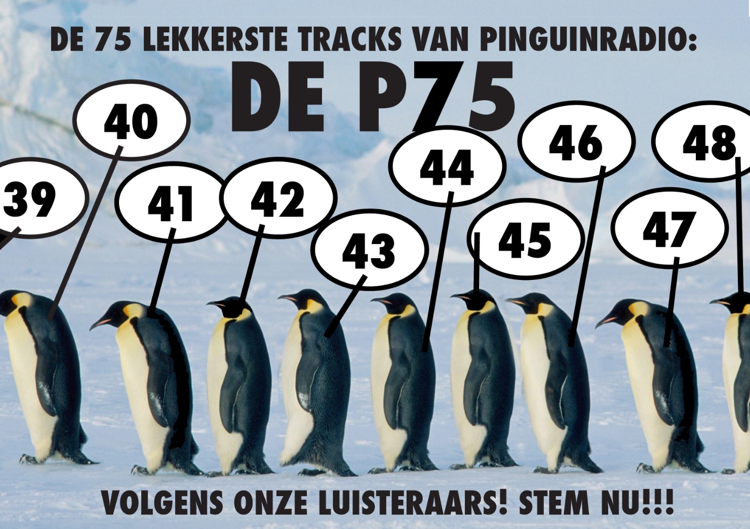 De P75: WAT VIND JIJ DE BESTE PLAAT VAN 2016?